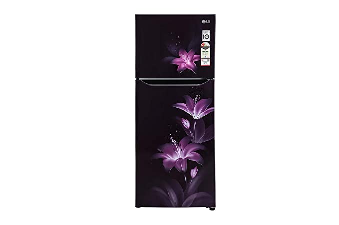 GL-N292BPGY-LG 260 Liters 2 Star Double Door Refrigerator (Purple Glow)