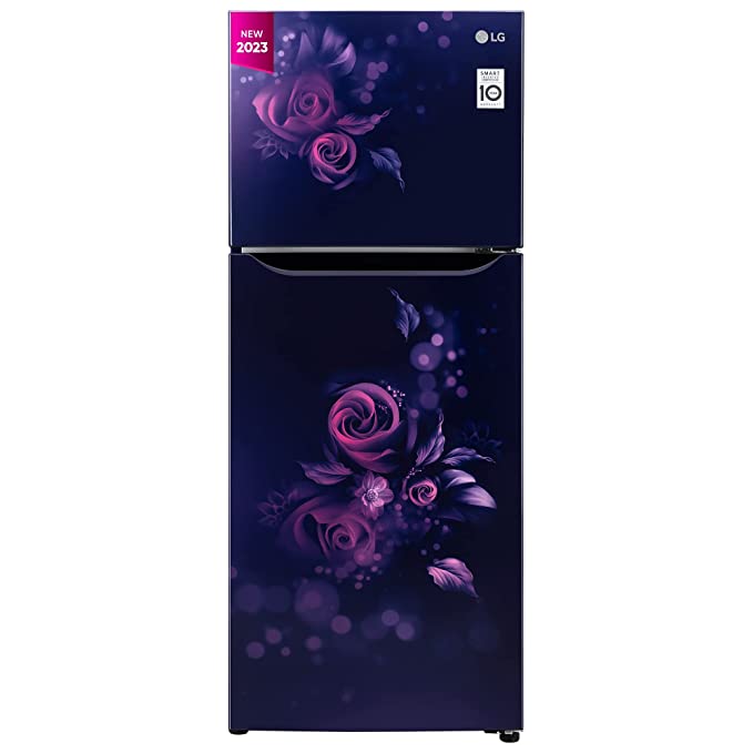 GL-N292BBEY-LG 242 L 2 Star Smart Inverter Frost-Free Double Door Refrigerator (Blue Euphoria, Smart Connect)