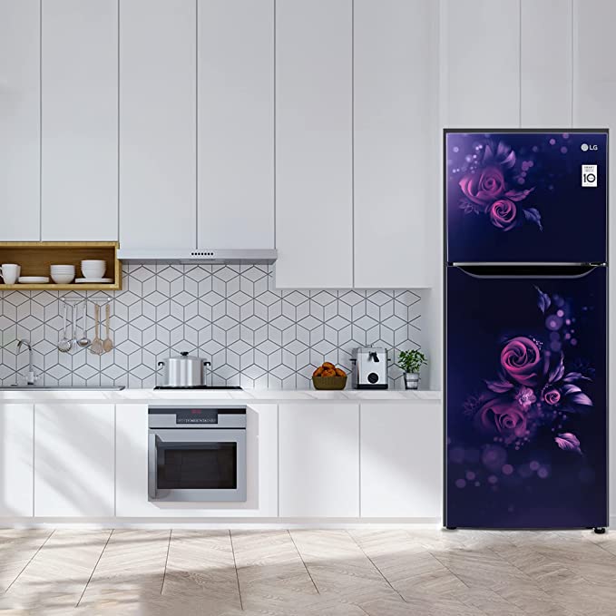 GL-N292BBEY-LG 242 L 2 Star Smart Inverter Frost-Free Double Door Refrigerator (Blue Euphoria, Smart Connect)