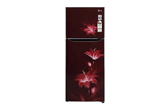 GL-N292BRGY-LG 260 Litres 2 Star Double Door Refrigerator (Ruby Glow)